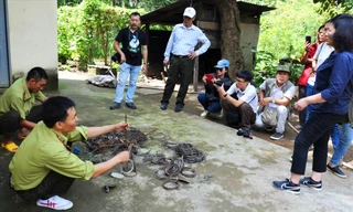 Trạm trưởng Trạm kiểm lâm số 5 nói về tệ nạn bẫy thú