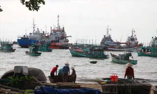 Tàu cá tại Phú Quốc (Kiên Giang). Ảnh: CK