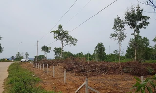 Nhiều diện tích đất nông nghiệp trên đảo Phú Quốc được chia nhỏ để phân lô chuyển nhượngẢnh: Nhật Huy 