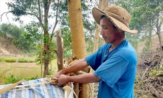 Ama Đinh lấy dây rừng buộc lại căn trại cho thật chắc chắn