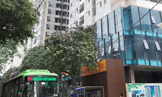 Bất cập làm bãi đỗ xe trong công viên: Tốn kém, lãng phí