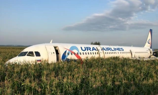 Chiếc máy bay đã hạ cánh xuống đồng ngô an toàn Ảnh: Reuters 