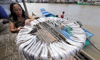 Nhiều người dân đã vay vốn ưu đãi để phát triển làng nghề truyền thống