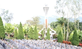 Nghĩa trang liệt sĩ Vị Xuyên. Ảnh: Trường Phong