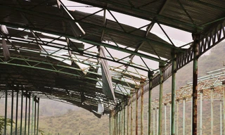 Khu “siêu dự án” chăn nuôi bò bỏ hoang, trang trại trơ khung. Ảnh: Phan Hoài 