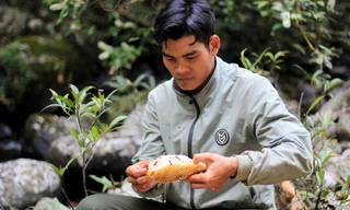 'Bí kíp' lấy mật ong rừng của người Ba Na