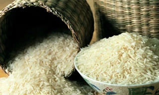 Hà Nội không có gạo giả