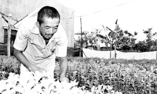 Nông dân mượn đất “treo” để sản xuất