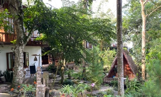 Loạt homestay trên núi Cấm ở An Giang bất ngờ bị dừng hoạt động