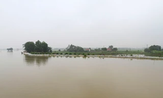 Nếu mưa lớn và nước trên thượng nguồn đổ về nhiều, đê tả Bùi sẽ gặp nhiều nguy hiểm. Ảnh: Trường Phong