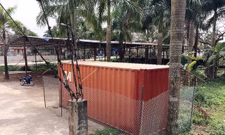 Lô gỗ sưa ‘trăm tỷ’ ở Hà Nội bán đấu giá thế nào?