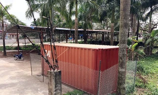 Lô gỗ sưa ‘trăm tỷ’ ở Hà Nội bán đấu giá thế nào?