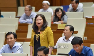 ĐBQH: 'Luật đầu tư công không phải tội đồ'