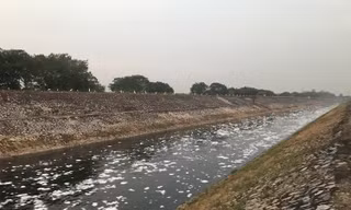 Hà Nội quyết 'hồi sinh' các dòng sông: Ngổn ngang xử lý nước thải