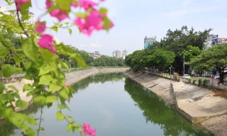 Nước chuyển màu xanh như nước Hồ Gươm, sông Tô Lịch bỗng 'nên thơ, trữ tình'