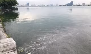 Nước thải đổ xuống hồ Tây. Ảnh: Trường Phong