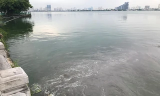 Nước thải đổ xuống hồ Tây. Ảnh: Trường Phong