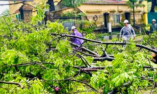 Dự báo có 8 - 10 đợt nắng nóng và 1 – 2 cơn bão ảnh hưởng đến Hà Nội