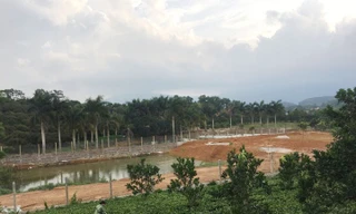 Một phần đất đai được cho là của ông Trần Quý Kiên. Ảnh: Trường Phong