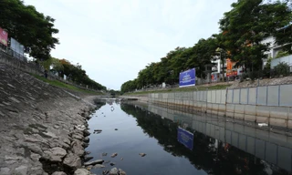 Hà Nội: Sông Tô Lịch trở lại đen kịt, bốc mùi, cá chết nổi