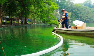 Nước hồ Gươm nổi váng xanh mấy ngày nay