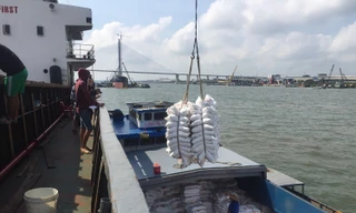 Vì sao Cần Thơ chưa nạo vét luồng Định An theo cơ chế đặc thù?