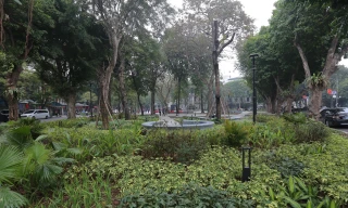 Độc đáo vườn hoa đưa thảm xanh ra sát mép đường ở Hà Nội