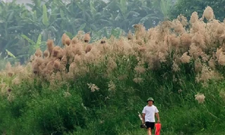 Quy hoạch phân khu đô thị sông Hồng: Phải di dời khoảng 1.500 hộ dân