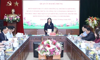 Hà Nội: Chưa thực hiện xong kết luận thanh tra về Công viên Tuổi trẻ