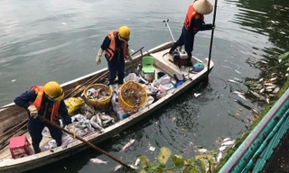 Hà Nội nêu biện pháp lâu dài khắc phục hiện tượng cá chết ở hồ Tây