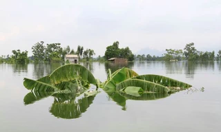 Siêu bão Mangkhut có thể gây mưa lớn, đe dọa gây ngập lụt ở ngoại thành Hà Nội. Ảnh: Trường Phong