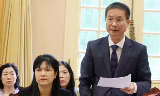 Thanh tra Chính phủ có quyền thanh tra lại trong trường hợp nào?