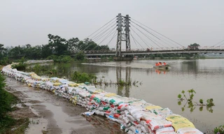 Đê tả Bùi đã qua giai đoạn nguy hiểm. Ảnh: Trường Phong