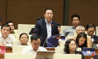 ĐBQH Lưu Bình Nhưỡng. Ảnh: Như Ý