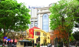 Không để 'lọt' vào cấp ủy người có biểu hiện giàu nhanh, nhiều tài sản mà không giải trình được