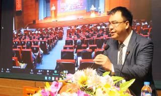 Sáp nhập đơn vị hành chính: 'Tránh đồng phục hóa mô hình tổ chức chính quyền địa phương'