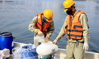 Gia hạn thanh tra việc sử dụng chế phẩm làm sạch hồ ở Hà Nội