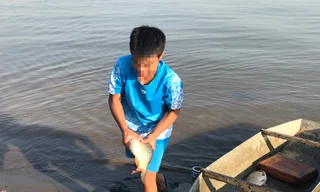 Hà Nội: Cúng ông Táo, 9 con cá chép vừa thả xuống sông bị thả lưới bắt lại 8 con