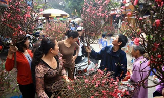 Hà Nội tổ chức 89 điểm chợ hoa xuân phục vụ Tết Tân Sửu 2021