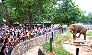 Vườn thú Hà Nội