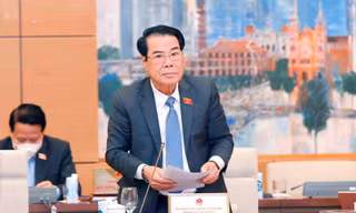 Trưởng ban Dân nguyện của Uỷ ban Thường vụ Quốc hội Dương Thanh Bình