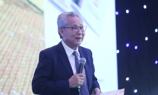 Có thể thu được hàng tỷ USD từ... vỏ trấu 