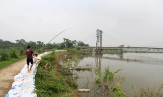 Hà Nội: Nước sông Bùi rút sâu, người dân ra đê câu cá