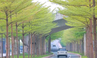 Hà Nội đưa Gia Lâm, Đông Anh lên quận vào năm 2023