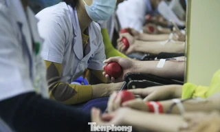 Khởi động chuỗi hiến máu Chủ nhật Đỏ ở Thái Bình