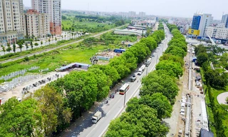 Chủ tịch UBND thành phố Hà Nội Nguyễn Đức Chung khẳng định khó giữ được hàng xà cừ trên đường Vành đai 3