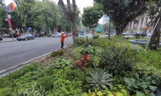 Hà Nội: Cải tạo vườn hoa Diên Hồng là 'tiếp sức lịch sử văn hoá'