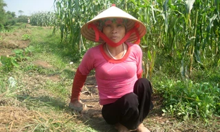 Người đàn bà đi trên hai tay