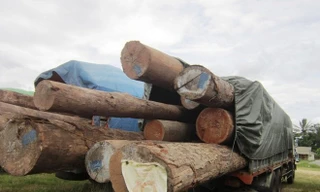 Nhiều xe chở gấp 4 lần tải trọng cho phép.