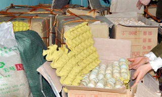 Thu 1.400 quả trứng gia cầm không nguồn gốc